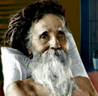 Sri Sri Sitaramdas Omkarnath