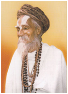 Sri Sri Sitaramdas Omkarnath